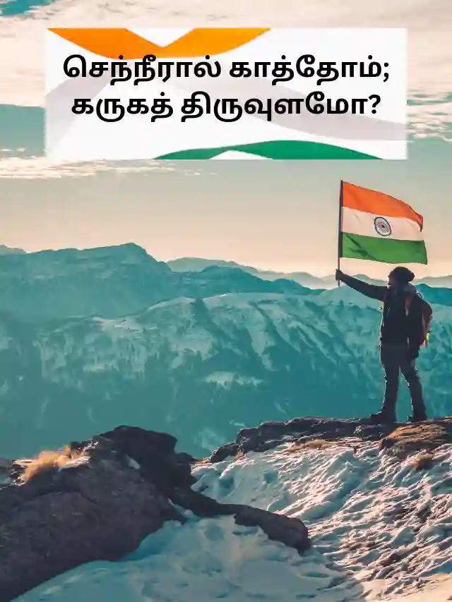 Indian Independence day salute