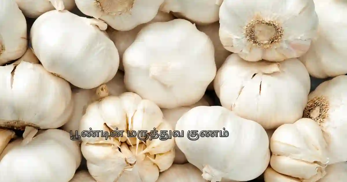 garlic health benefits