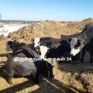 எது வலிமை - திருக்குறள் கதைகள் 34