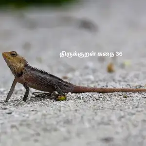பிற உயிர்களிடத்தில் அன்பு திருக்குறள் கதை 36 1 பிற உயிர்களிடத்தில் அன்பு திருக்குறள் கதை 36