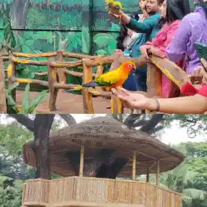 கலைஞர் நூற்றாண்டு பூங்கா