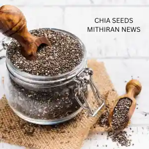 சியா விதை சாப்பிடும் முறை