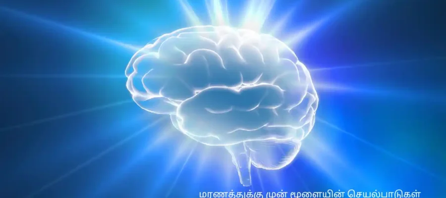 மரணத்திற்கு முன் மூளை
