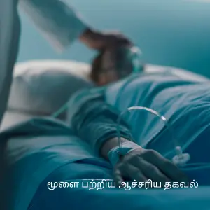மரணத்திற்கு முன் மூளை என்ன செய்கிறது