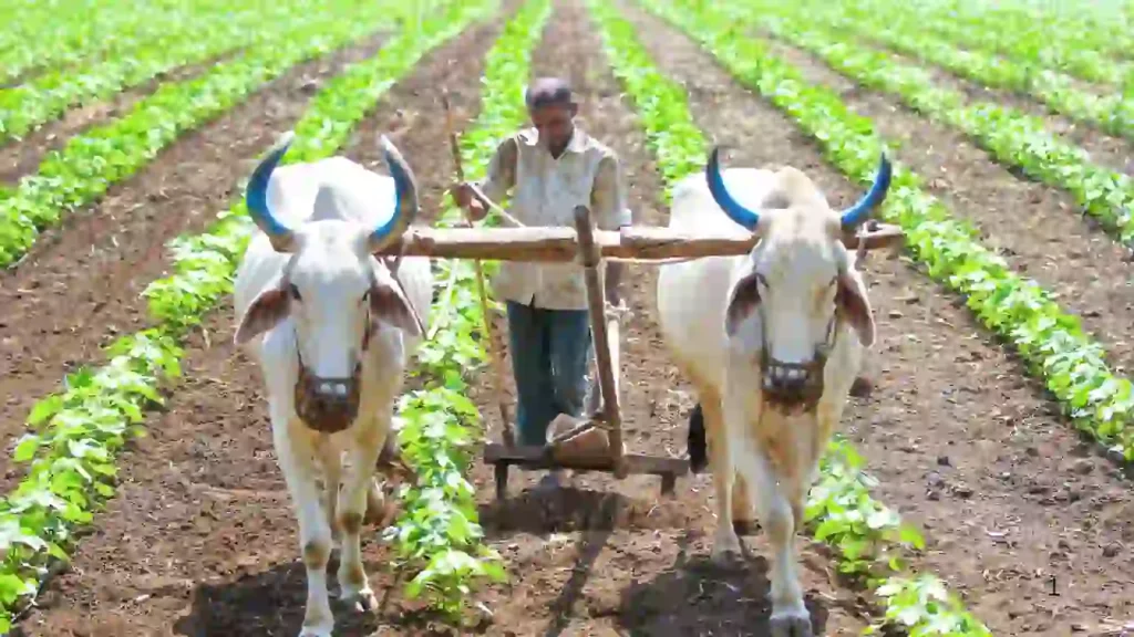 விவசாயப் பழமொழிகள்