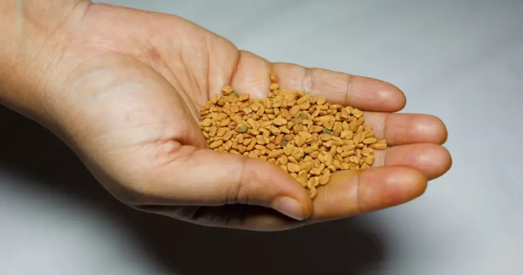 Fenugreek: நீரிழிவை கட்டுப்படுத்த உதவும் Best & Easiest Way 1 fenugreek