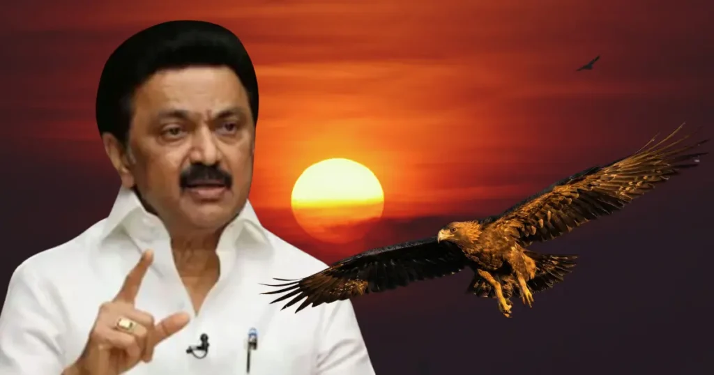 dmk politics