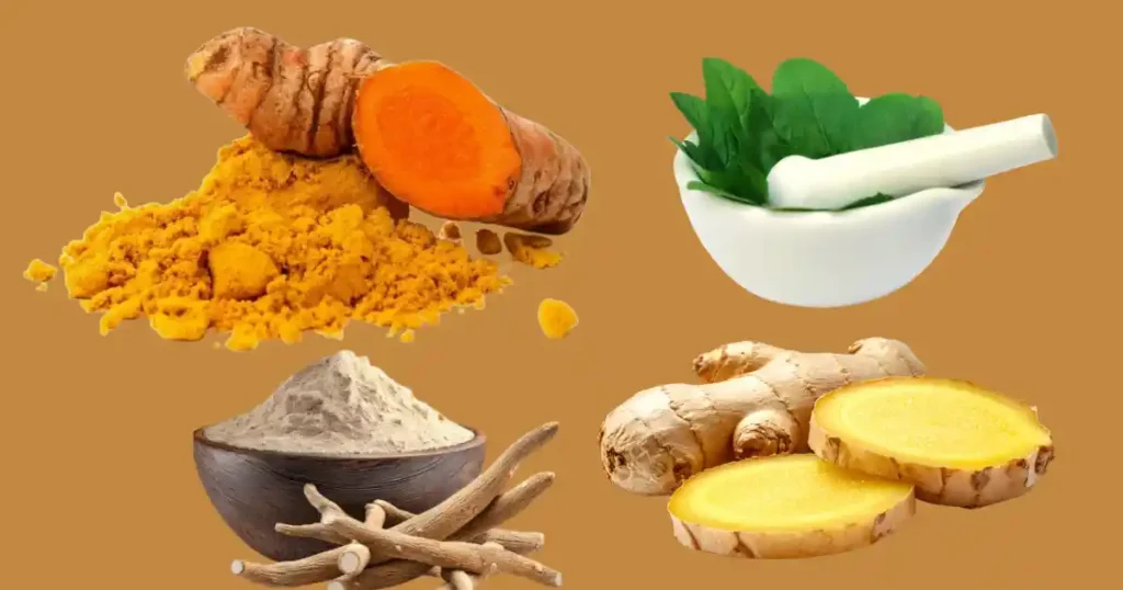 MOOLIGAI POWER: இயற்கை மருத்துவத் தாக்கம்! 1 mooligai