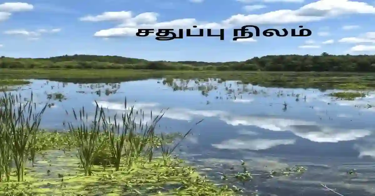 பள்ளிக்கரணை சதுப்பு நிலம்