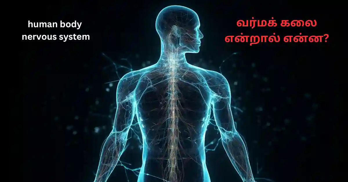 Varma kalai: தமிழ் மரபின் அற்புதக் கலை